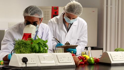Scientists experimenting on food together in the food science laboratory