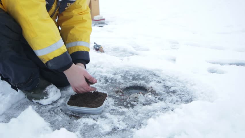winter bream groundbait