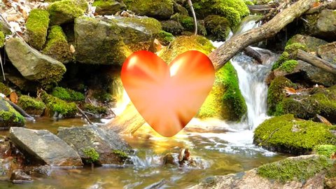 Valentine love heart in forest creek fullhd video