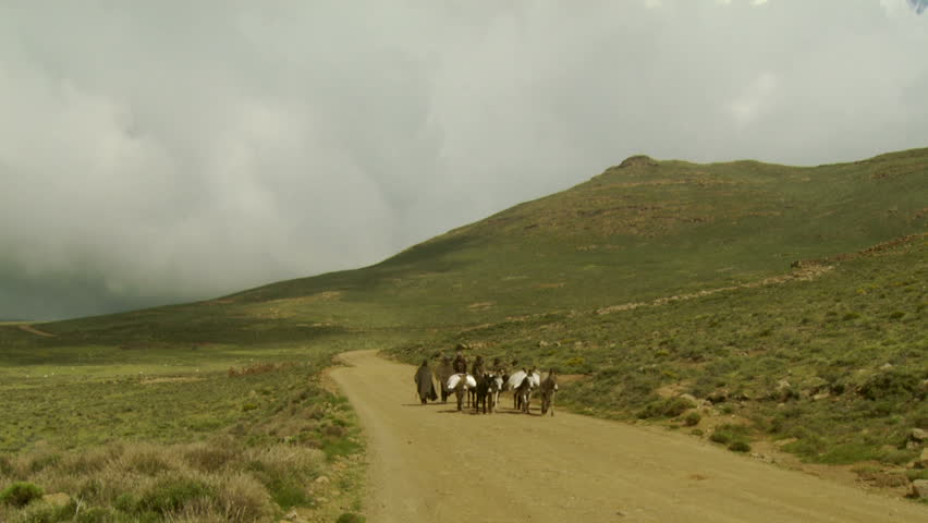 Lesotho herdsman with donkeys in the Maluti Mountains Southern Africa