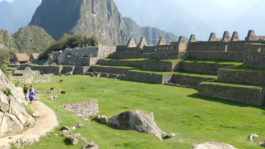 Machu Picchu ruins in Peru are UNESCO World Heritage and one of the worlds most famous cult sites. This clip shows a courtyard with grazing Lamas
