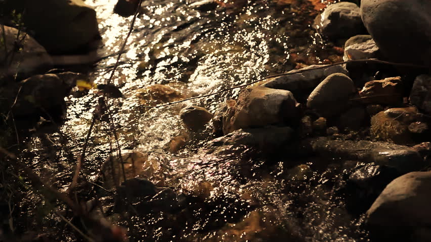 Leafs and stones lying around a brook in a forest with floating water, shot in
