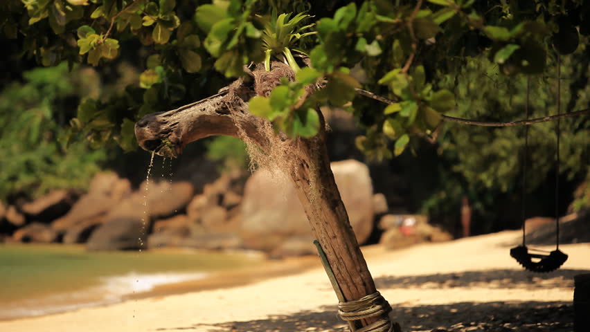 Water coming from a green rainforest, pouring into a perfect beach