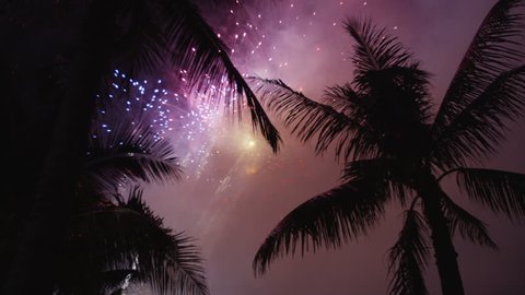 Brilliant Hawaii Firework Display Through Palm Trees In UHD Red Scarlet Dragon