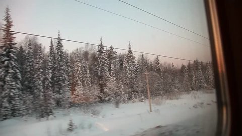 Winter forest through the window on the train, Trans-Siberian