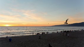 Silhouettes of People on Beach - Sunset in Santa Monica Los Angeles California - Pacific Ocean in Beautiful Early Evening