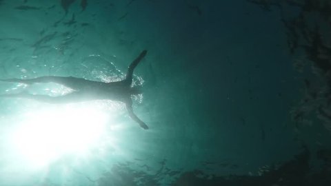Young Man Swimming Silhouette In The Ocean Underwater Shot Slow Motion Sea Pool Active Lifestyle Adventure Holiday Freedom Relaxation Exercise Dive Summer Vacation Tropical Island Gopro HD
