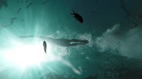 Swimmer Silhouette Swimming Sun Rays Underwater Fish Passing Background Vacation Holiday Hobby Swimming Pool Ocean Concept Athlete Muscle Sport Gopro HD