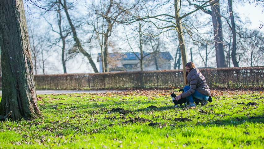 Young woman in park patting a stray cat. Nice beautiful girl taking care for cute cat in park, patting while kitten enjoying.
