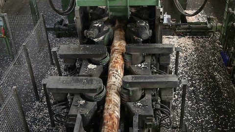 Lumber industry - Cutting line.
The modern cutting line in saw mill in action. Interior of manufacture. Two clips.