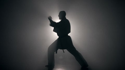 Young man with muscled body, training martial arts (Goju-Ryu Karate-Do) in silhouette