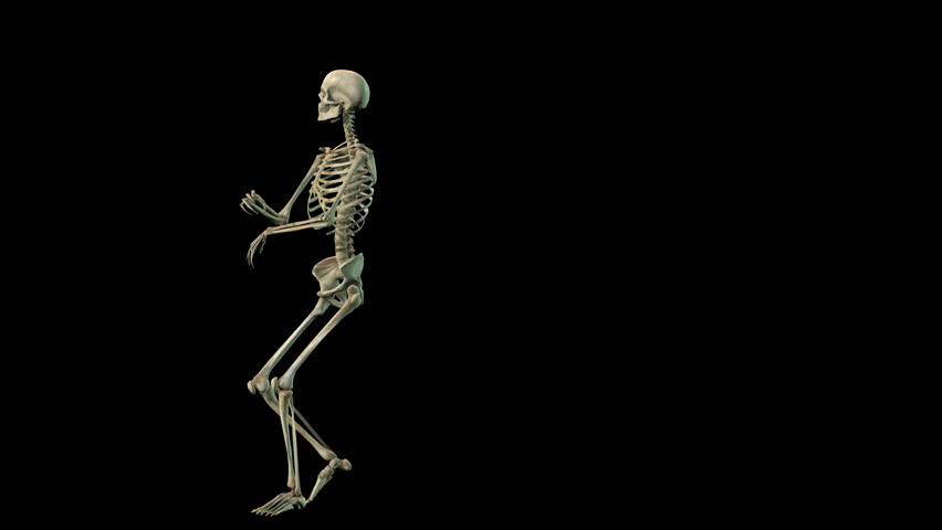 A Very Lively 3d Skeleton の動画素材 ロイヤリティフリー Shutterstock