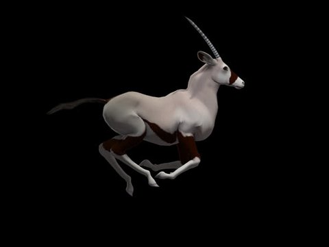 Oryx Alpha Channel Seamless Loop
Oryx,  orix, deer, red deer, hart, stag, oryx, fawn, goat, goatling, ibex, sheep, ewe, walk, jump, run,

3d Model Motion Graphics