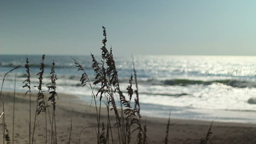 Waves break on a sandy beach in the summer.