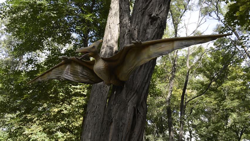 show me a pterodactyl