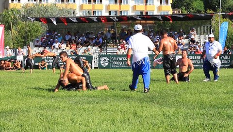 ISTANBUL, TURKEY - AUG 24, 2012: 8th Sile Annual Turkish Oil Wrestling Event. Wrestlers at the green arena (Er Meydani)
