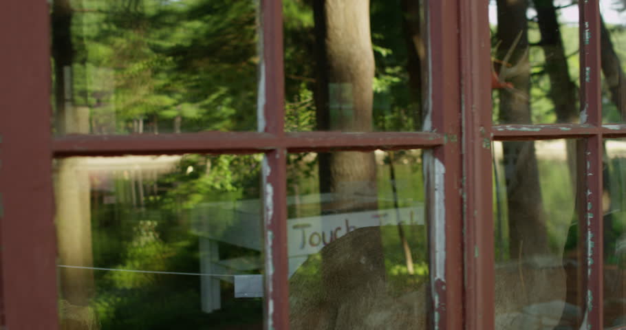 Chatfield Hollow State Park in summer time. Chatfield Hollow is a state park in Killingworth, Connecticut. Shot on Red Scarlet.