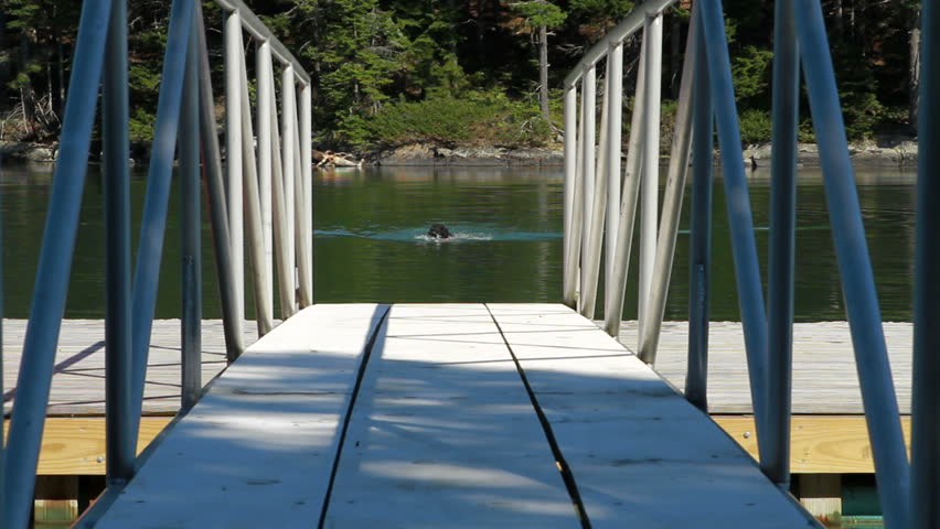 A man swims to the dock. 