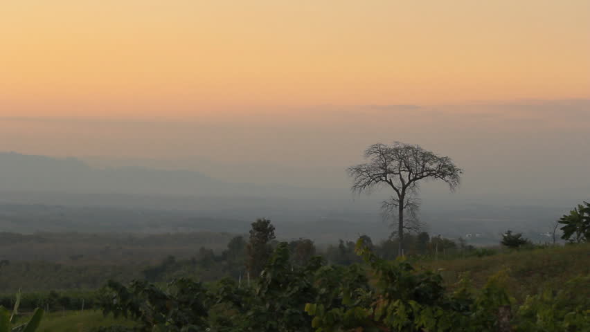Single tree at sunset overlooking mountains with warm golden light. Scenic landscape showing nature, silhouette, and peaceful outdoor environment during golden hour.