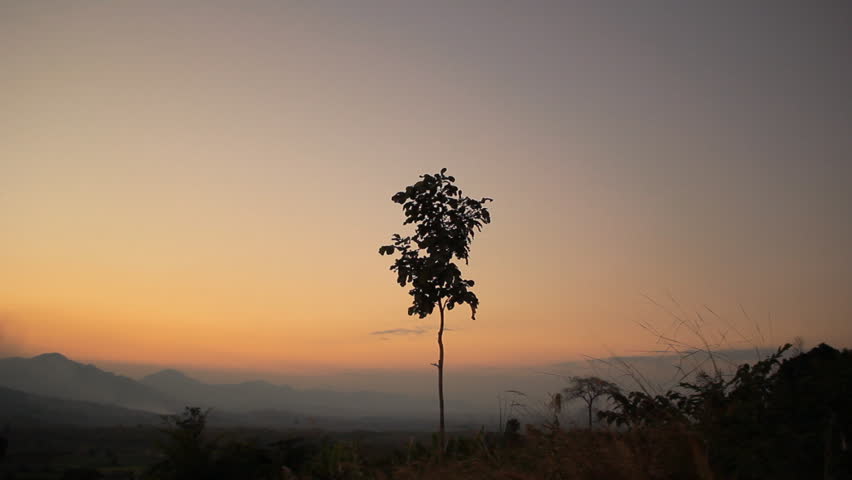 Single tree at sunset overlooking mountains with warm golden light. Scenic landscape showing nature, silhouette, and peaceful outdoor environment during golden hour.