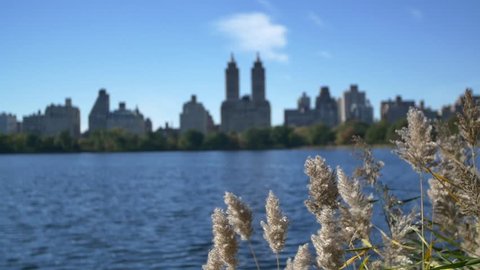 New York, Nyc, Slowmo, Central Park