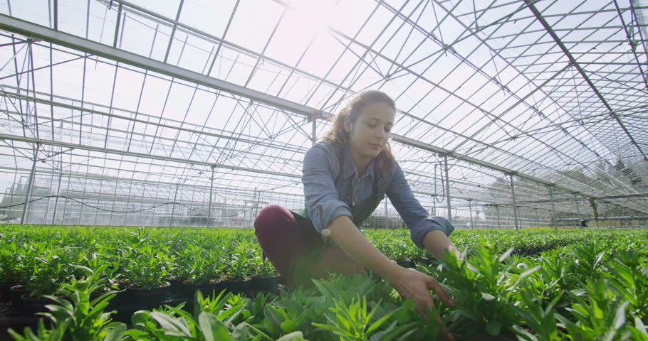 4k Cheerful Female Worker in 스톡 동영상 비디오(100% 로열티 프리) 8719495 | Shutterstock
