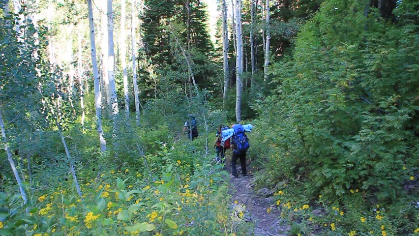 Backpackers hiking down a beautiful mountain trail