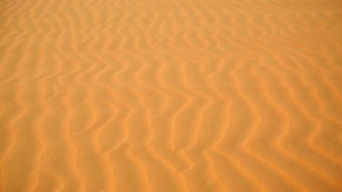 Sandstorm In Desert