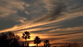 Time Lapse, Swirling clouds turn reddish hues over silhouetted, palm tree scenic landscape. 4K UHD 3840x2160 - Powered by Shutterstock - Get 15% off with code: PIKWIZARD15