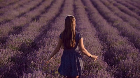 Happy and carefree young woman walking on a blossoming lavender field. Back view, slow motion Video Stok
