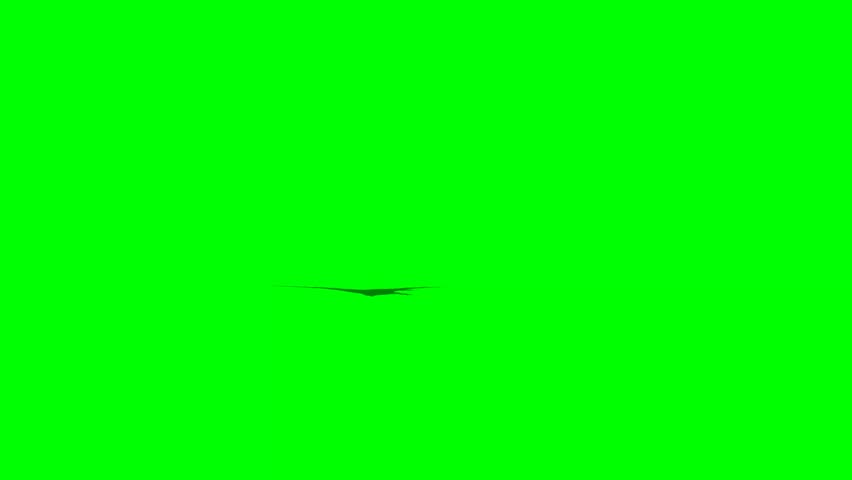 eagle fly landing 1 - green screen
 Royalty-Free Stock Footage #8769310