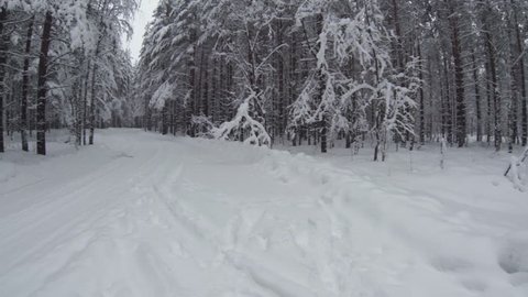 Start driving through the winter forest on snowy road, first view