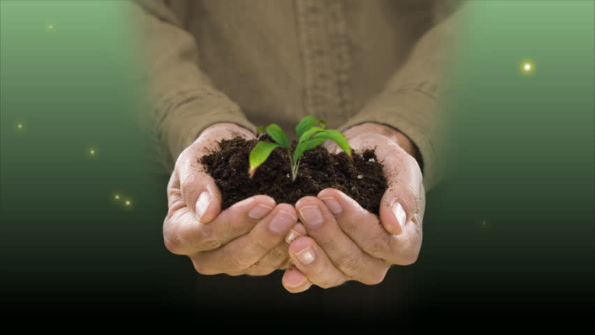 plant growing a mans hand stock footage video 100 royalty free 878149 shutterstock plant growing a mans hand stock footage video 100 royalty free 878149 shutterstock