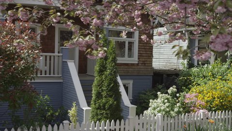 Dolly shot of residential street in spring with cherry blossoms, houses, and fences.
