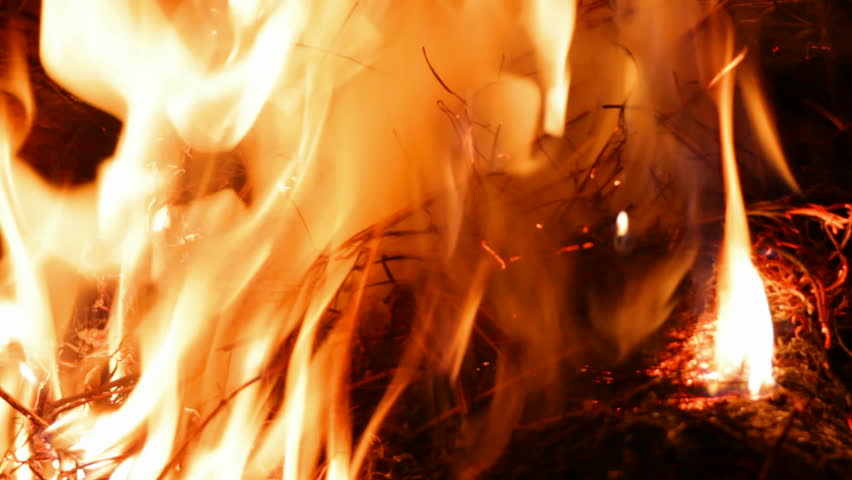 close-up view on flame at night