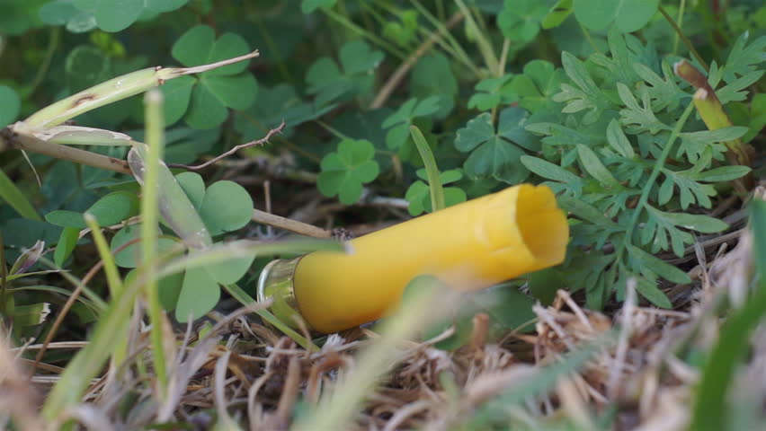 spent yellow shotgun shell falls into Stok Videosu (%100 Telifsiz) 8796379 ...