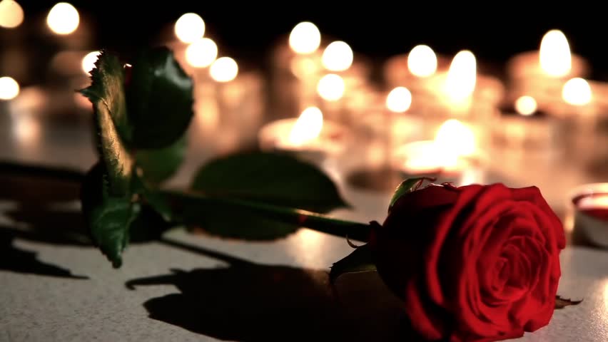 Candles With Beautiful Rose Petals Stock Footage Video 100 Royalty Free 722 Shutterstock