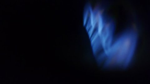 fires flame in motion - natural gas burner - blue flames - closeup shot - free space for text
