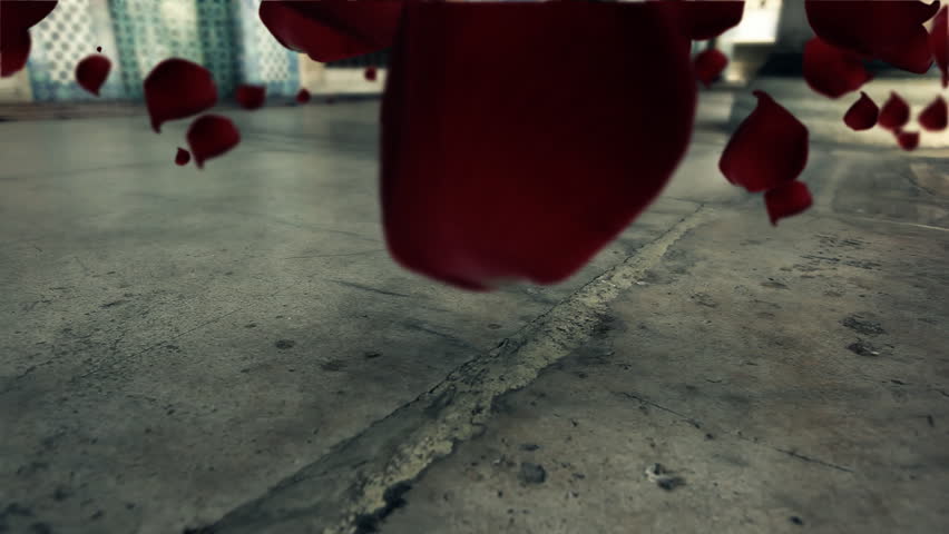 Red rose leafs floating and flying over obsolete marble ground  CGI generated,
