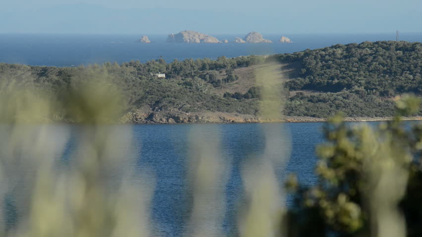 Coastal landscape of Corsica, with blurred foliage blowing in the wing in the foreground.