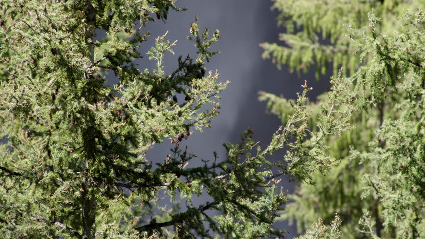 Waterfall in Yellowstone National Park, shot by 4K RED Epic camera
