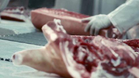 Meat Processing Plant conveyor butchering carcasses