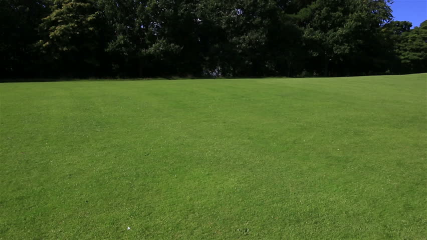 Beautiful green lawn in a summer park.