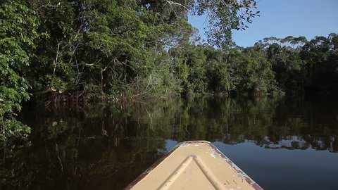 Iquitos - Peru: boat in Pacaya Samiria.
