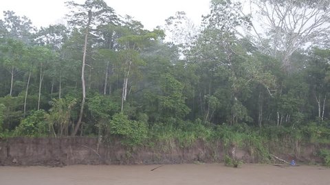 Amazon river at the rain