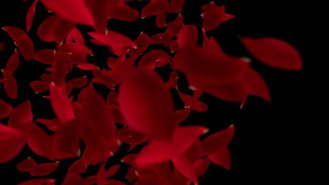 Autumn Red Leaves Falling Toward Stock Footage Video 100 Royalty Free Shutterstock