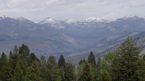 Landscape above pines in Yellowstone National Park , shot by 4K RED Epic camera,
