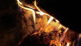 Bright burning wood, campfire macro video. Pan
