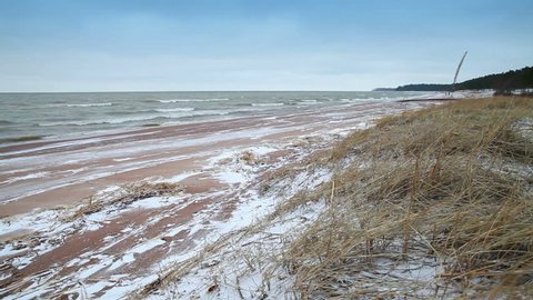 Winter coastal landscape with snow on the beach, wind and waves. Gulf of Finland, Baltic sea, Russia