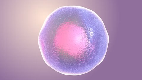 Animated human micro cell , close-up footage 
